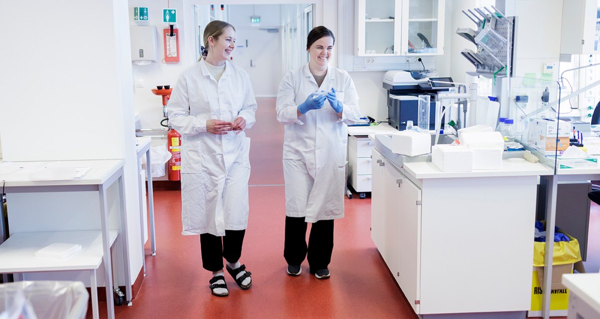 lab-AN-7 Article Image